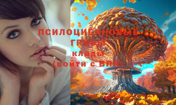 дживик Белоозёрский