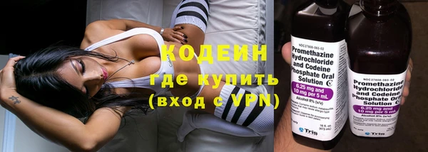 дживик Белокуриха