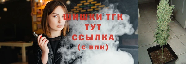 дживик Белокуриха