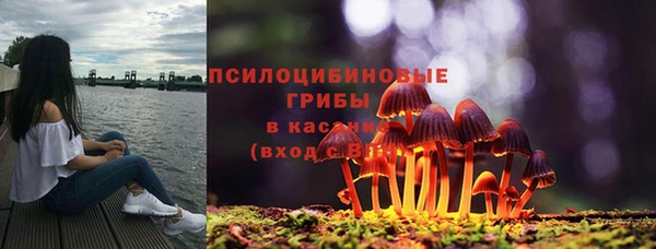 дживик Белокуриха