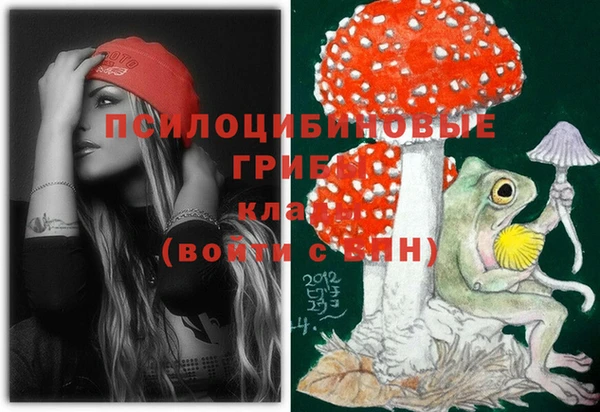 a pvp Беломорск