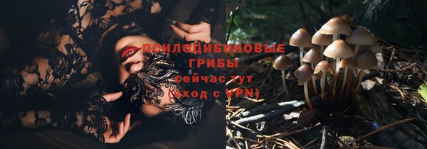 дживик Белокуриха